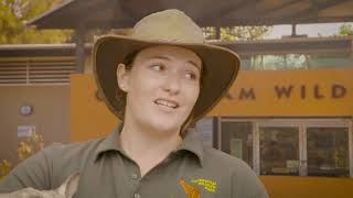 Destination WA  Caversham Wildlife Park Wombats [upl. by Anawat]