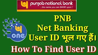 Forgot PNB Net Banking  PNB ONE User ID  How To GetRecover User ID  In Hindi [upl. by Auehsoj]