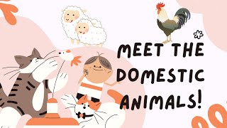 Meet the Domestic Animals [upl. by Demb]