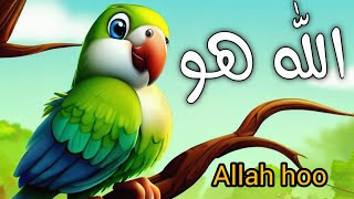 Chirya Boli Chu Chu Chu  Allah hoo Allah hoo  Urdu Rhymes for kids  Urdu Poems for kids  lori [upl. by Anilorak]