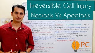 Irreversible Cell Injury or Cell Death Pathology  Necrosis Vs Apoptosis [upl. by Thanos]