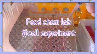 내가 무슨 실험하는 지 알고시푸늬 Hoxy   MTT assay  RNA extraction [upl. by Cirdet]