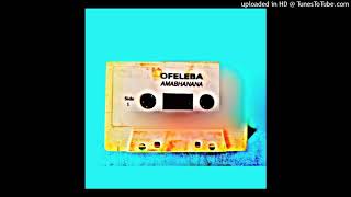 Ofeleba nduna step [upl. by Ahtrim702]