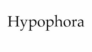 How to Pronounce Hypophora [upl. by Sakul]