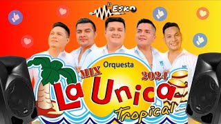 Mix La Unica Tropical  2024   Partidos en Dos  Si Esta Casa Hablara  Asesina y mas   Dj Esko [upl. by Ahserb781]