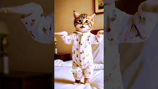 dancing cat 😹  trendingshorts cat shortfeed funnycatvideos [upl. by Werdnael]