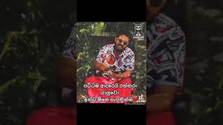 shan putha neranjana mata upathinma dangale  tik tok song new rap song shan putha short shorts [upl. by Harald706]