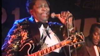 BB King Live in Hamburg 1991 [upl. by Wesla202]