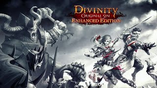 Divinity Original Sin  Enhanced Edition Xbox Series S  Gameplay  Elgato HD60 S [upl. by Halonna]