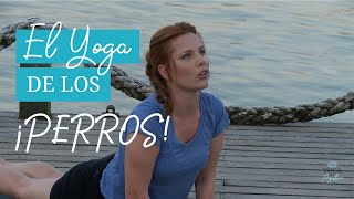 Aliviá tu espalda con dos simples posturas de yoga  Agustina Kämpfer  Yoga con Agustina [upl. by Crowe521]