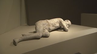 Pompeii exhibit at the ROM [upl. by Mccarthy]