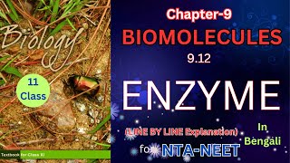 Enzyme biomoleculesncertbiologyclass11 [upl. by Aninep]