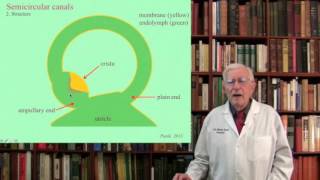 Lecture 3 The Vestibular System Structure Function and Dysfunction [upl. by Aliuqehs]