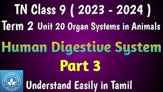 Human Digestive System  Part 3 Class 9 Science Term 2 Unit 20 Organ Systems in Animals [upl. by Aikram805]