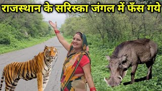 राजस्थान के सरिस्का जंगल में फँस गये। रास्ते में मिला Sariska Tiger Reserve 🐅 Jungle Safari [upl. by Attey732]