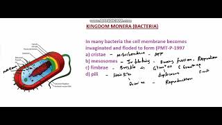 biology biological classification  monera  bacteria  neet  mcq  tamil [upl. by Zielsdorf304]