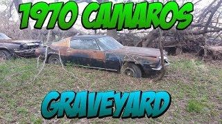 1970s Camaro Grave Yard 30 Camaros Firebirds Trans Ams Etc [upl. by Latrice]