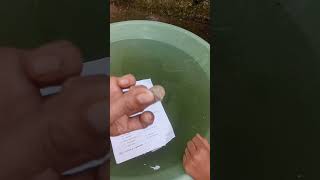 Archimedes principle is a law of physics school scienceexperimentsforkidsathome [upl. by Rumilly]