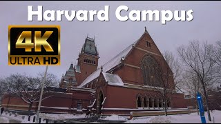 Harvard University  4K Campus Walking Tour  Science Center  Memorial Hall  Arts Museum [upl. by Ydorb462]