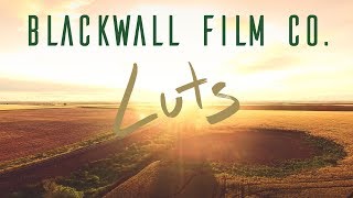 INTRODUCING BLACKWALL FILM CO VIDEO LUTS [upl. by Philemol]