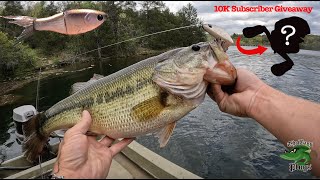 Catching GIANT Bass on Glidebaits 10k GIVEAWAY  Bass Plugs [upl. by Abbot247]