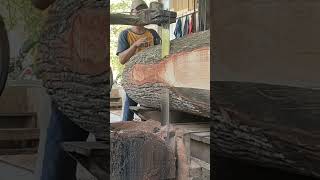 Kayu mindi india sawmill thailand [upl. by Vasili309]