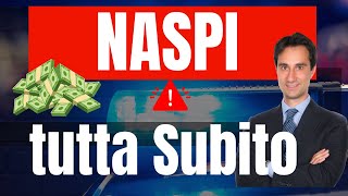 PARTITA IVA E DISOCCUPAZIONE GUIDA SU COME FARE DOMANDA DI NASPI ANTICIPATA Tutorial completo 2024 [upl. by Blackstock998]