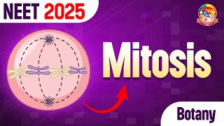 Mitosis  Most Important Questions of Mitosis  NEET Botany  srichaitanyagosala [upl. by Ydospahr]