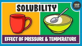 What is Solubility Chemistry [upl. by Eusoj]