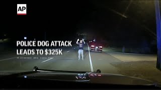 Police dog attack leads to 325K settlement [upl. by Kirstyn]