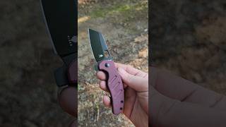 Kizer Mini Sheepdog in 4V shorts youtubeshorts knives [upl. by Llerdnod]