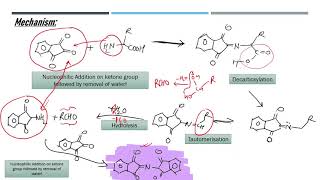 Ninhydrin and Biuret Test [upl. by Cudlip]