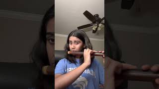 Singara Siriye flute rendition by Nayana Prasad [upl. by Noside]