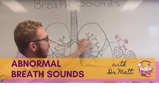 Abnormal Breath Sounds  Respiratory System [upl. by Schweiker]