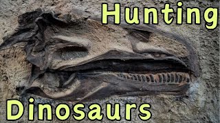 Finding Dinosaur Fossils In Rock [upl. by Bohannon937]