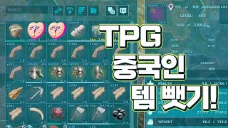 TPG 중국인 템 뺏기 [upl. by Ahsiela]