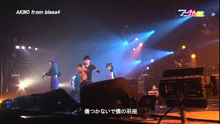 LIVE アニうた KITAKYUSHU 2011 AKINO from bless4 [upl. by Enetsirhc]