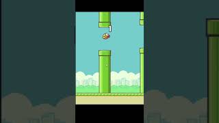 BROKE Flappybird WORLD RECORD  part 22 [upl. by Aniuqal88]