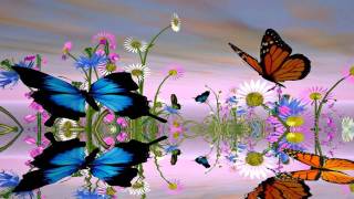 Fantastic Butterfly Screensaver httpwwwscreensavergiftcom [upl. by Maise317]