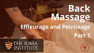 General Back Protocol Beginning Effleurage and Petrissage Techniques Part 1 [upl. by Ehlke]