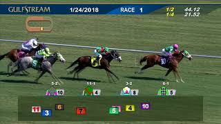 Gulfstream park Race 1  January 24 2018 [upl. by Winston]