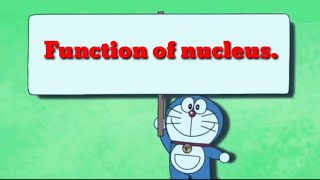 Organelles Structure and Function AP BIOLOGY [upl. by Heimer796]