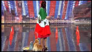 Dog Acts on Britains Got Talent [upl. by Enyleuqcaj]