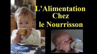 Alimentation Chez le nourrisson Comment introduire la diversification [upl. by Darleen]