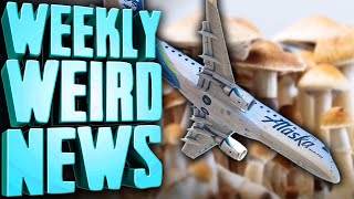 Mushroom Pilot Finally Explains Himself  Weekly Weird News [upl. by Inod]