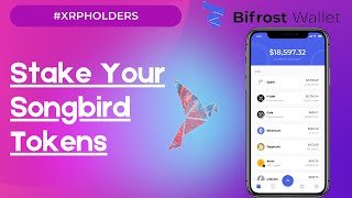 ATTENTION XRP HOLDERS  Learn How To Stake Your Songbird Tokens Using The Bifrost Mobile Wallet [upl. by Aklim]