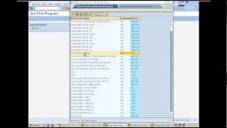 Creating our first report program in SAP  Day 4 [upl. by Nythsa402]