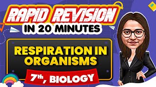 Respiration in Organisms  Rapid Revision in 20 Minutes 🔥 Biology Class 7th 📚 [upl. by Htebaras]