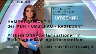 🔥🔥🔥 HAMMERBERICHT ‼️‼️ der MDR  UMSCHAU  Redaktion vom 121223  Link in der Beschreibung [upl. by Letha]