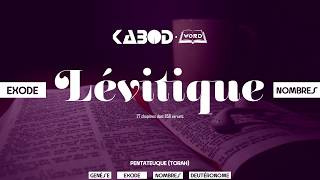 « Lévitique »  LAncien Testament  La Sainte Bible audio VF Complète [upl. by Eneloc]